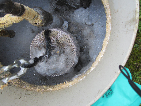 BioPOP vetverslinder in een vetput